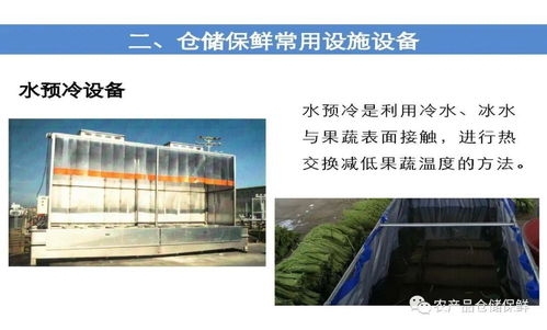 农产品仓储保鲜冷链设施建设技术方案要点与节能技术推广服务